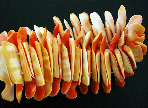 Sea Shell Stretch Bracelet